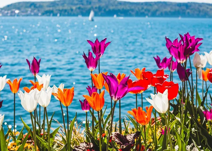 Ueberlinger Ferienidylle *